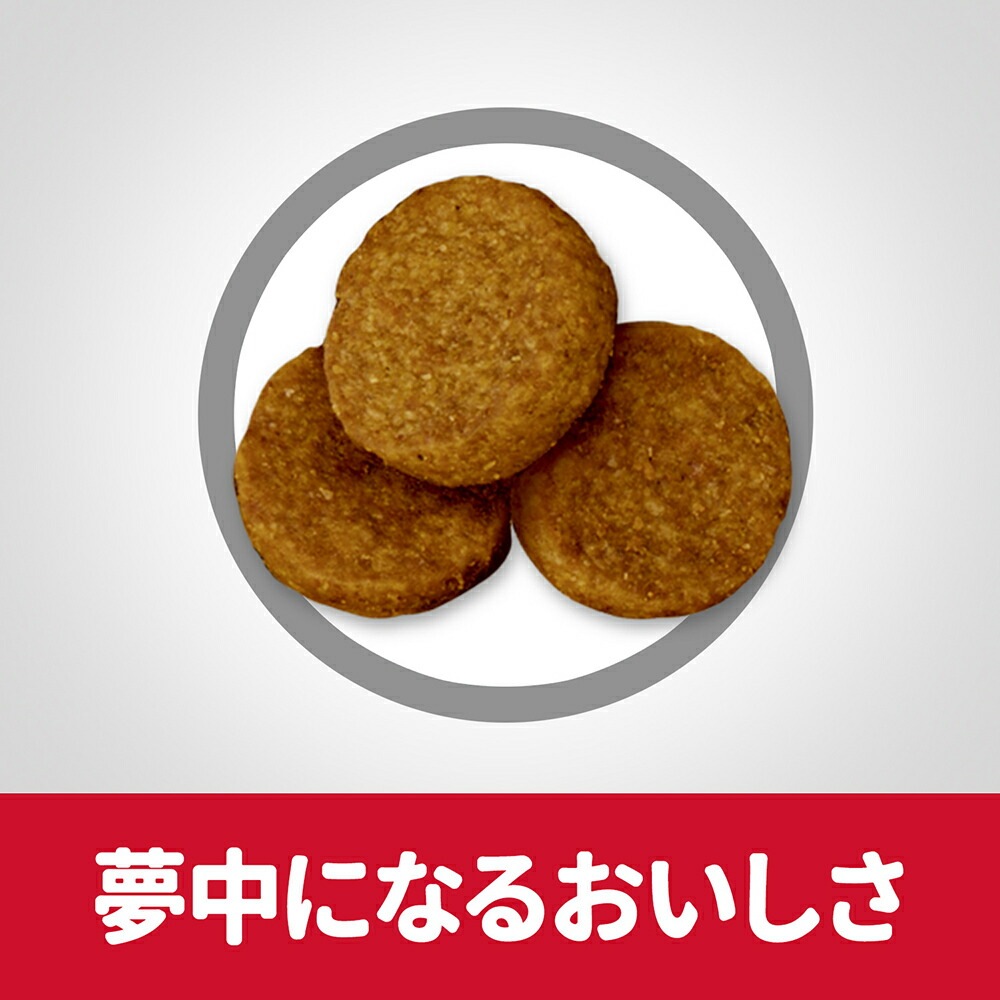 ��12kg��2�ޡۥҥ륺 �������󥹡��������å� �緿���� ���˥� 6�аʾ� ������ ������ �����Хå����ޤ��� (�����ɥå�)