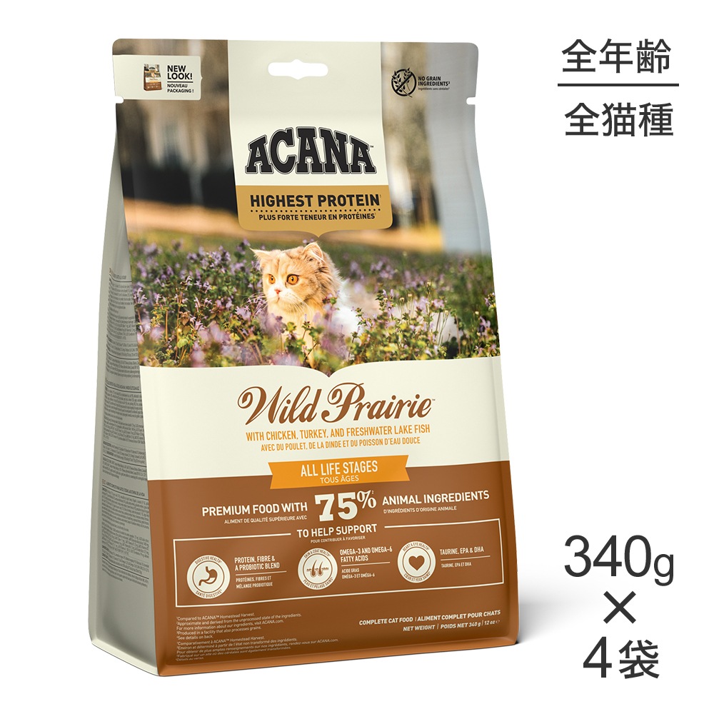 340g4ޡۥ ϥȥץƥ 磻ɥץ쥤꡼å (ǭå)[]