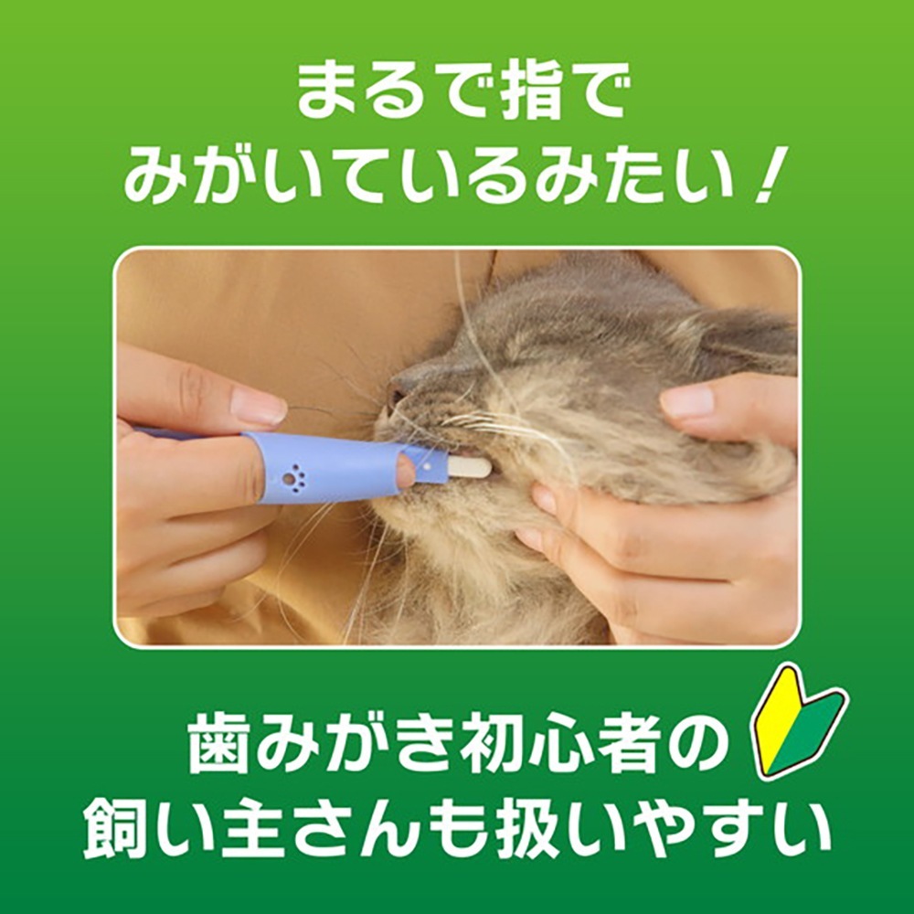 �ڥ᡼���ءۥ饤���� PETKISS �إ��å����֥饷 ����ѥ��� 1��(��ǭ����)[M�� 1/8]