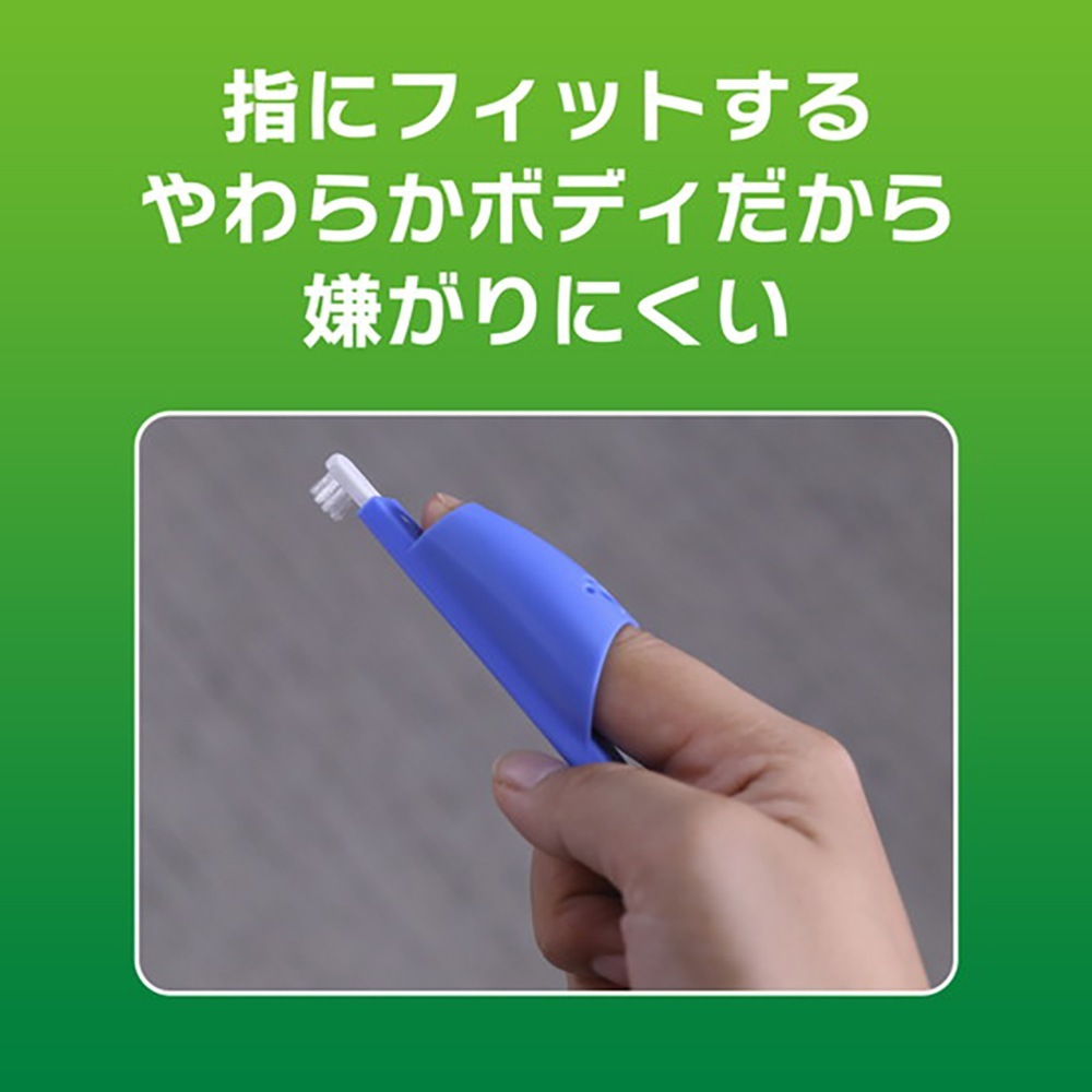 �ڥ᡼���ءۥ饤���� PETKISS �إ��å����֥饷 ����ѥ��� 1��(��ǭ����)[M�� 1/8]