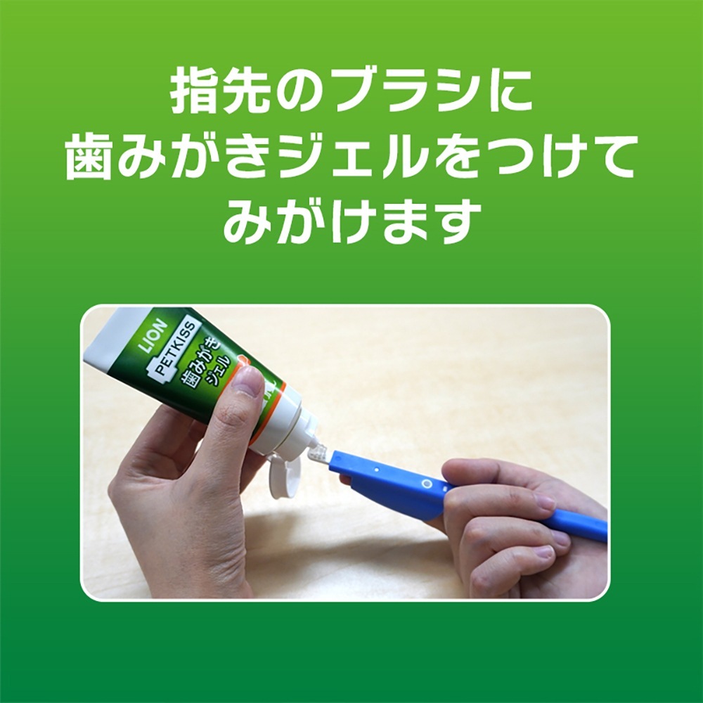 �ڥ᡼���ءۥ饤���� PETKISS �إ��å����֥饷 ����ѥ��� 1��(��ǭ����)[M�� 1/8]