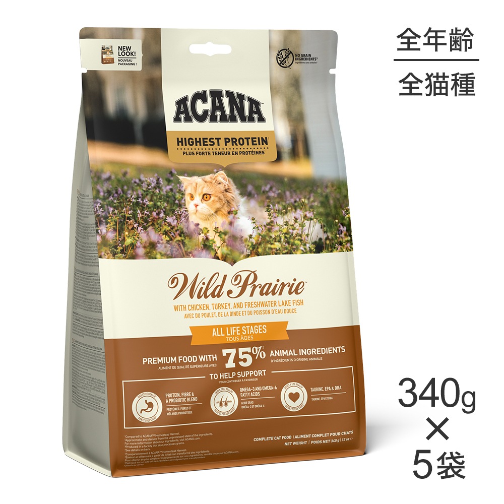 340g5ޡۥ ϥȥץƥ 磻ɥץ쥤꡼å (ǭå)[]