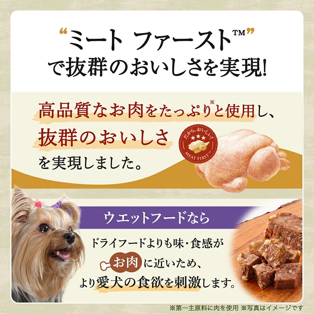 100g24ġۥ˥塼ȥ ץ  Ҹ å ȥ쥤 (ɥå)[]