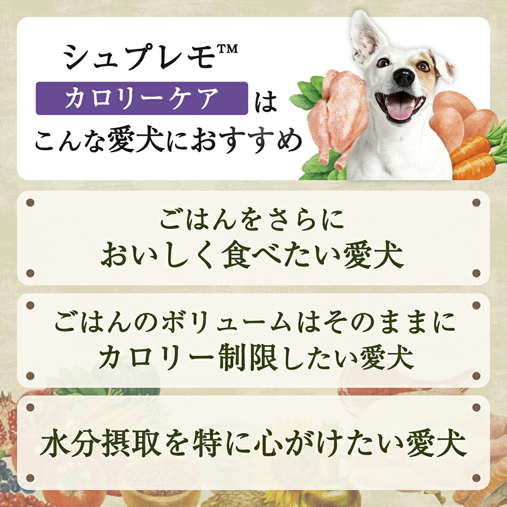 100g24ġۥ˥塼ȥ ץ  Ҹ å ȥ쥤 (ɥå)[]