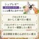 100g24ġۥ˥塼ȥ ץ  Ҹ å ȥ쥤 (ɥå)[]