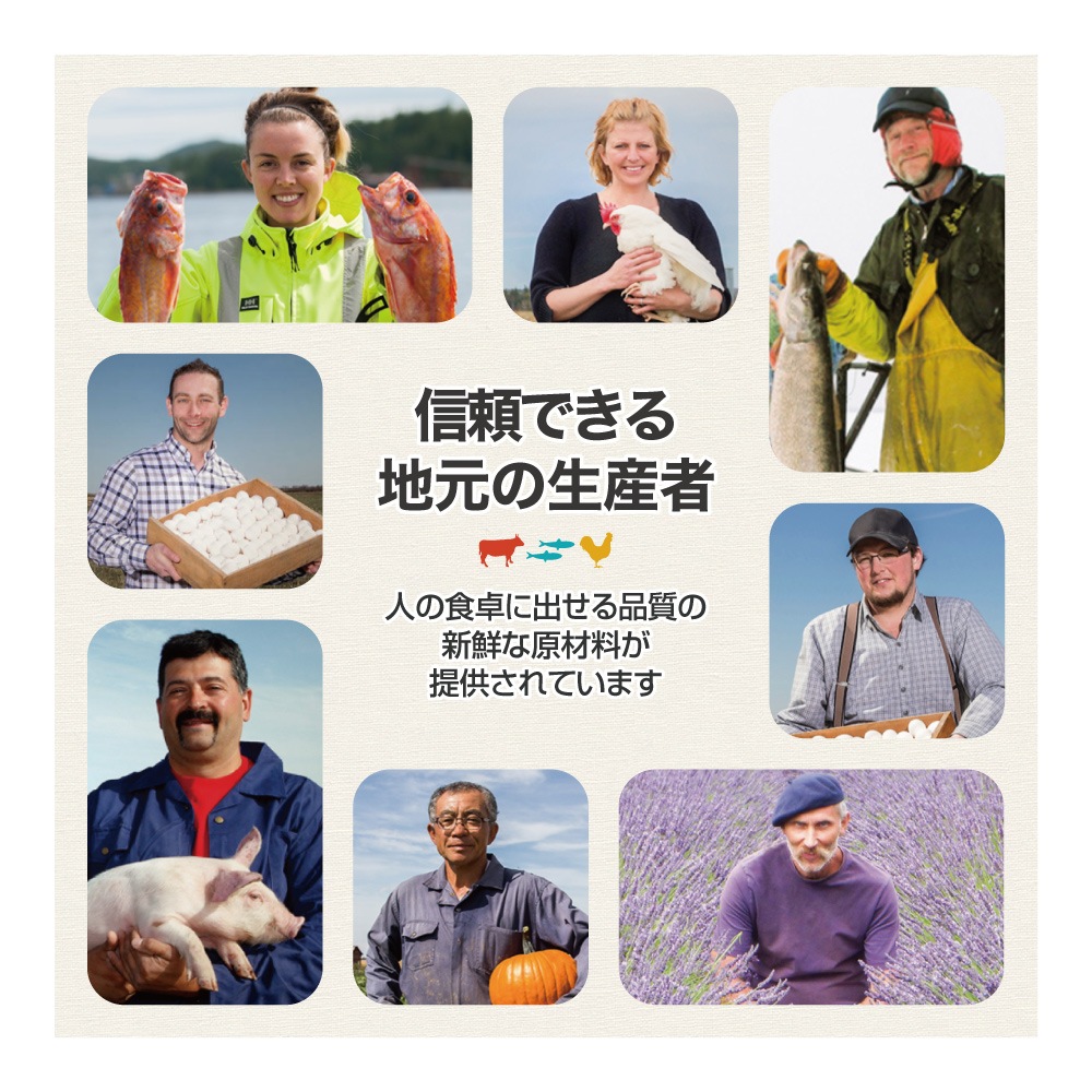  ϥȥץƥ 饹ɥå 340g (ǭå)[]