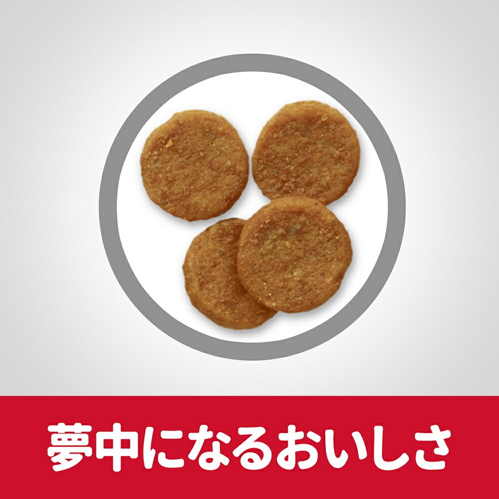 ��6.5kg��3�ޡۥҥ륺 �������󥹡��������å� ������� ��γ 1~6�� ������ ������ �����Хå����ޤ��� (�����ɥå�)