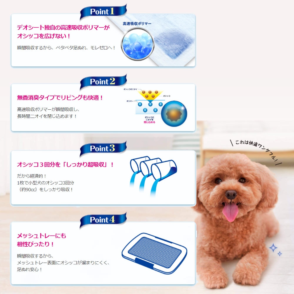 ��ˡ����㡼�� �ǥ������� Premium 12����Ķ�ý���Ķ�ۼ� �쥮��顼 �ڥåȥ����� 54��(�����ɥå�)