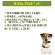 ڥ᡼ءWHIMZEES ॺ ƥå XS 7(ɥå)[][M 1/2]