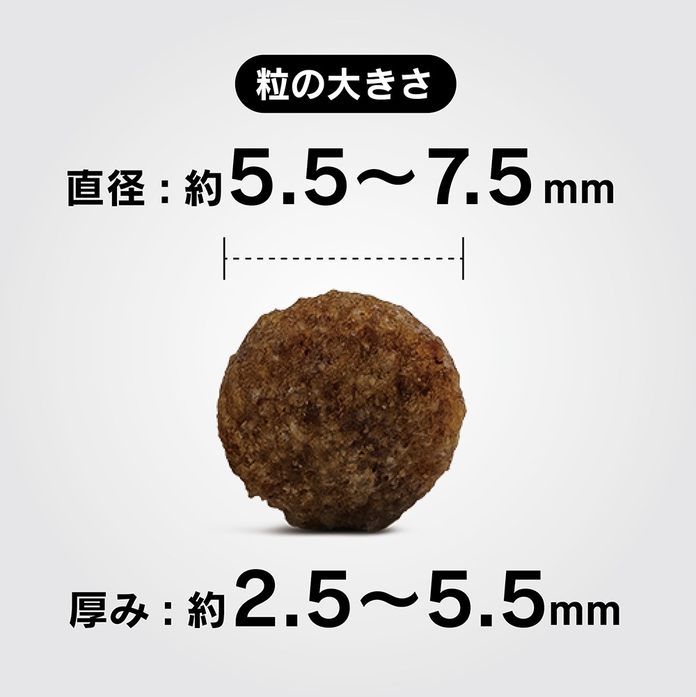 ڥ᡼ءHAPPY DOG ߥ 󥷥֥ ѥԡ &饤  Ҹ 80g(ɥå)[][M 1/5]