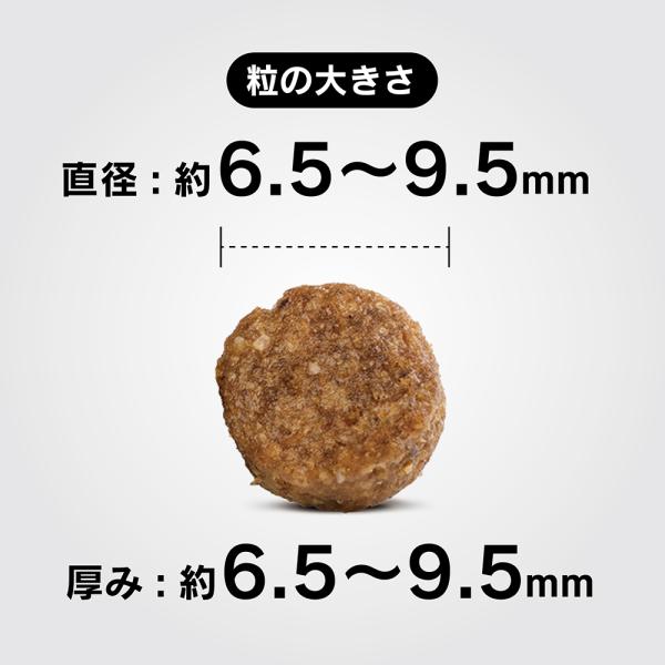 �ڥ᡼���ءۡ�80g��4�ޡ�HAPPY DOG �ߥ� �ե��åȡ��Х����� �ߥ� ������� ������ ������(�����ɥå�)[������]