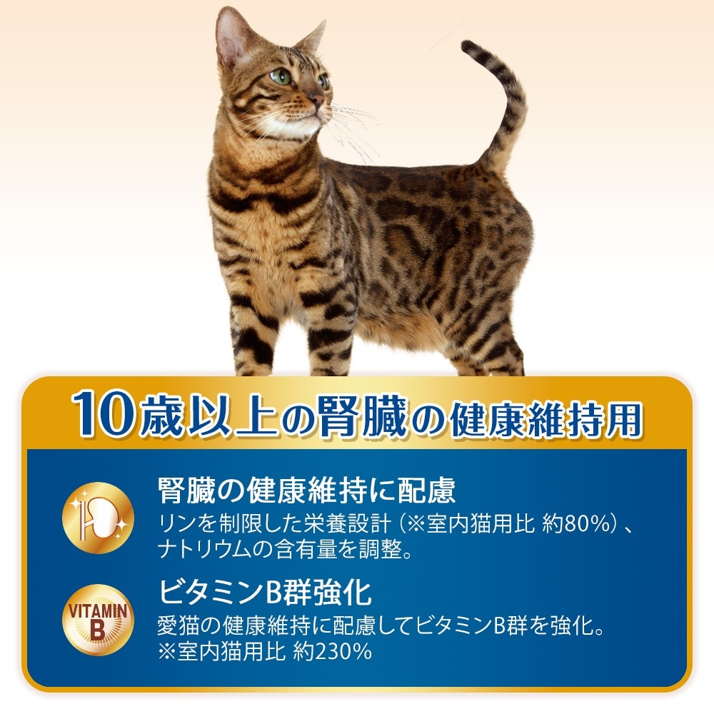 ��˥��㡼�� AllWell 10�аʾ�ο�¡�η򹯰ݻ��� �ե��å���̣�Ԥ������Ȥ����ߥե꡼���ɥ饤�ѥ���������750g (375g��2��)