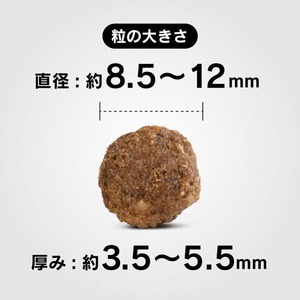 �ڥ᡼���ءۡ�80g��4�ޡ�HAPPY DOG �ߥ� ���󥷥֥� �ߥ� ��������� �����󥱥� ������ ���������˥�����(�����ɥå�)[������]