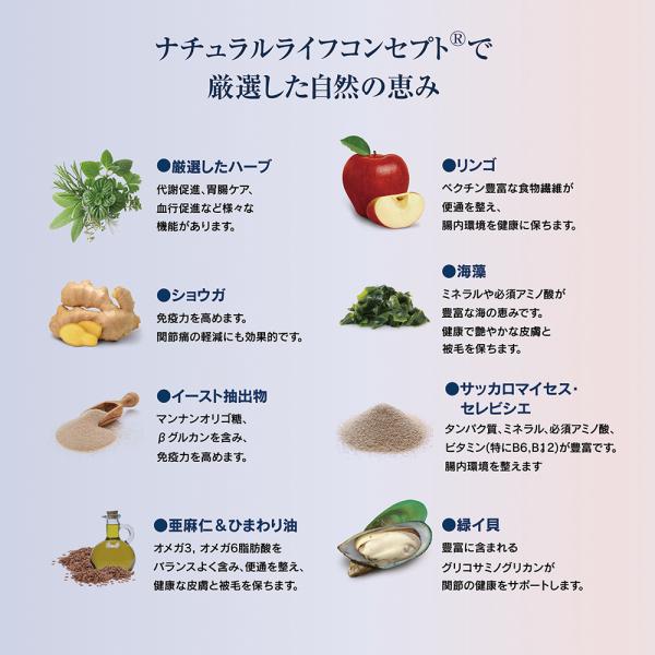 �ڥ᡼���ءۡ�80g��4�ޡ�HAPPY DOG �ߥ� ���󥷥֥� �ߥ� ��������� �����󥱥� ������ ���������˥�����(�����ɥå�)[������]