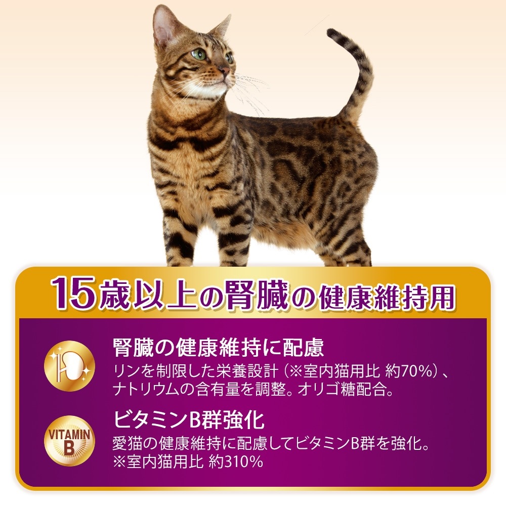 ��˥��㡼�� AllWell 15�аʾ�ο�¡�η򹯰ݻ��� �ե��å���̣�Ԥ������Ȥ����ߥե꡼���ɥ饤�ѥ���������1.5kg (375g��4��)