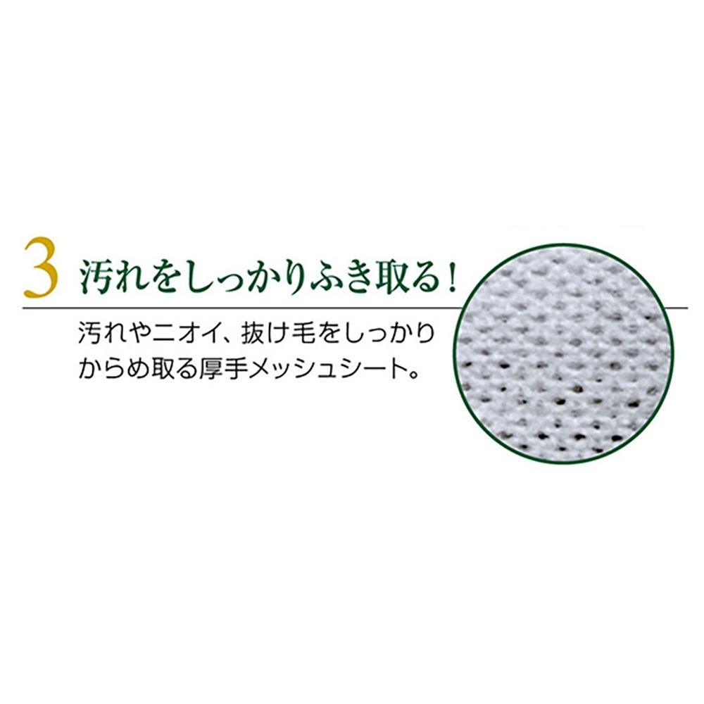 �饤���� Quick & Rich �ȥ꡼�ȥ��ȥ��󥷥��ס������� ������ ��ե�å��奵�ܥ� 20��(�����ɥå�)