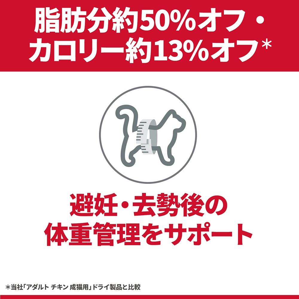 2.5kg2ޡۥҥ륺 󥹡å ǥ~6 ǥǭ   å  ѥ 85g1 ޤ (ǭå)