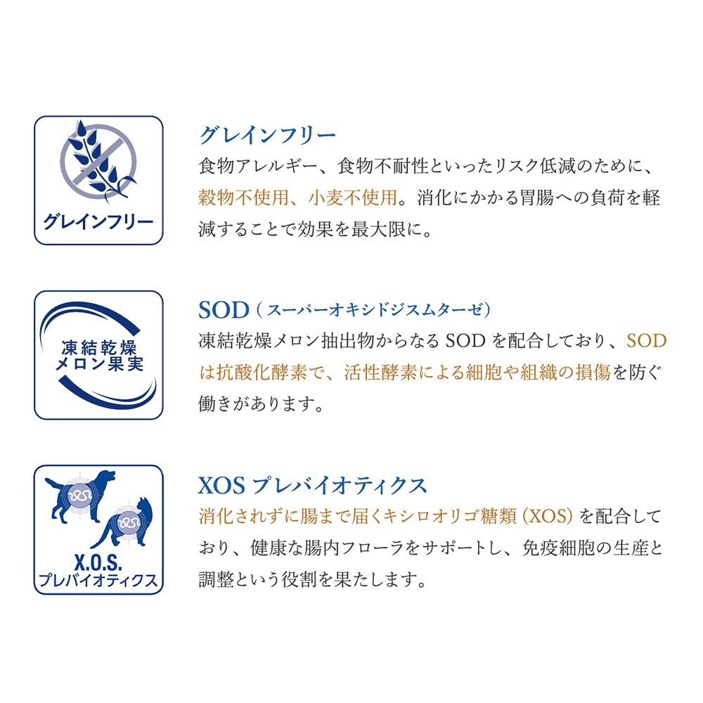 MONGE VetSolution �٥åĥ���塼�����  ��Ĳ���ݡ��� ��ˡ�� 800g(�����ɥå�)[������]