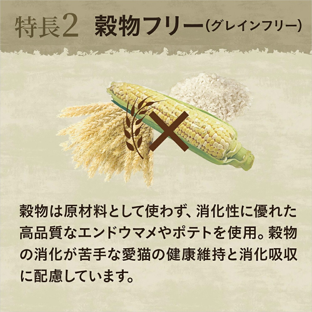 75g24ġۥ˥塼ȥ 磻 쥷 &ȥ饦 ѥƥ ǭ ȥ쥤 (ǭå)[]