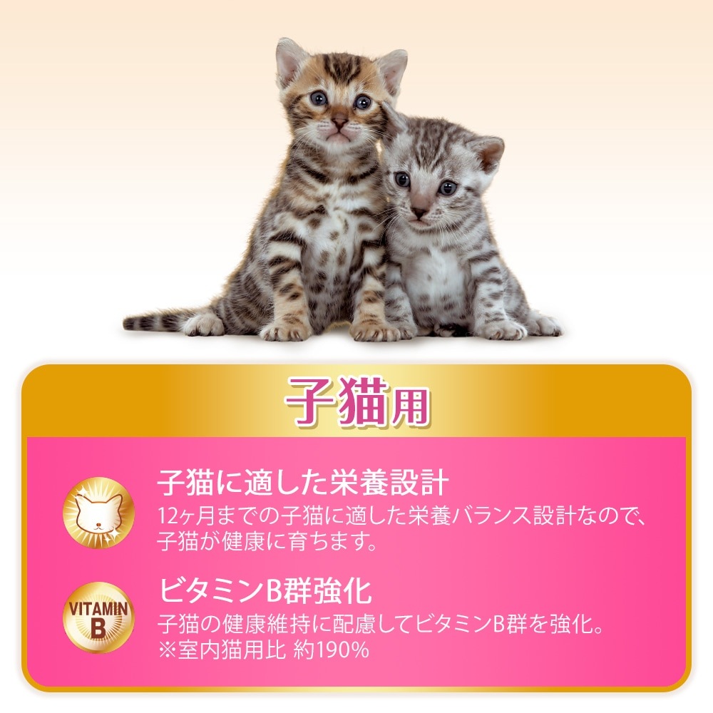 ��˥��㡼�� AllWell �򹯤˰�Ļ�ǭ�� �ե��å���̣�Ԥ������Ȥ����ߥե꡼���ɥ饤�ѥ���������800g (400g��2��)