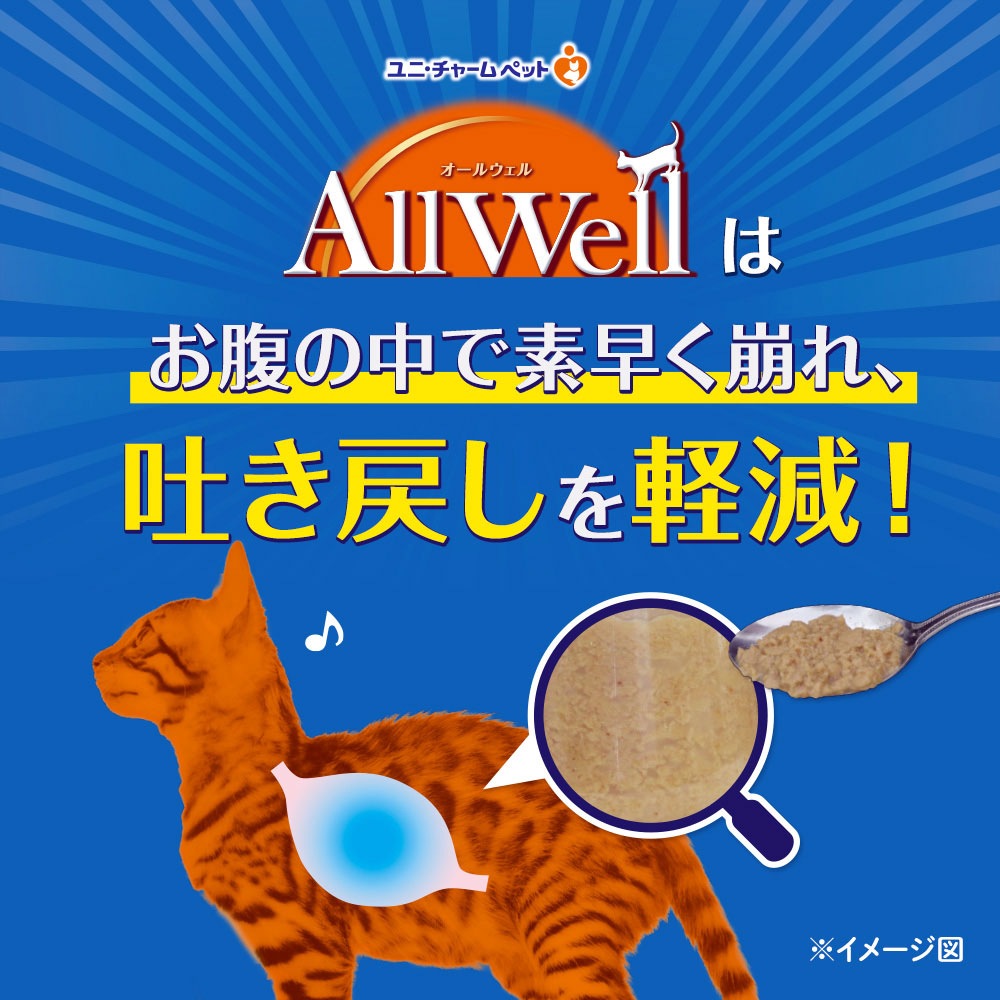 ��˥��㡼�� AllWell �򹯤˰�Ļ�ǭ�� �ե��å���̣�Ԥ������Ȥ����ߥե꡼���ɥ饤�ѥ���������800g (400g��2��)