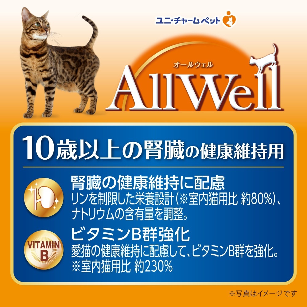 ��1.5kg��4�ޡۥ�ˡ����㡼�� AllWell 10�аʾ�ο�¡�η򹯰ݻ��� �ե��å���̣ �Ԥ������Ȥ����ߥե꡼���ɥ饤�ѥ��������� (ǭ������å�)