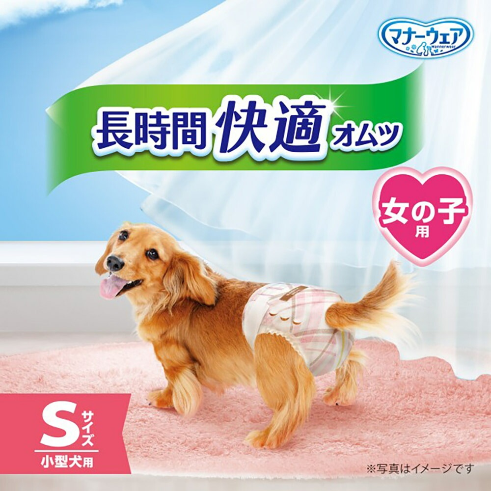 ��32���2�ޡۥ�ˡ����㡼�� �ޥʡ������� Ĺ���ֲ�Ŭ����� ���λ��� S������ �������� (�����ɥå�)