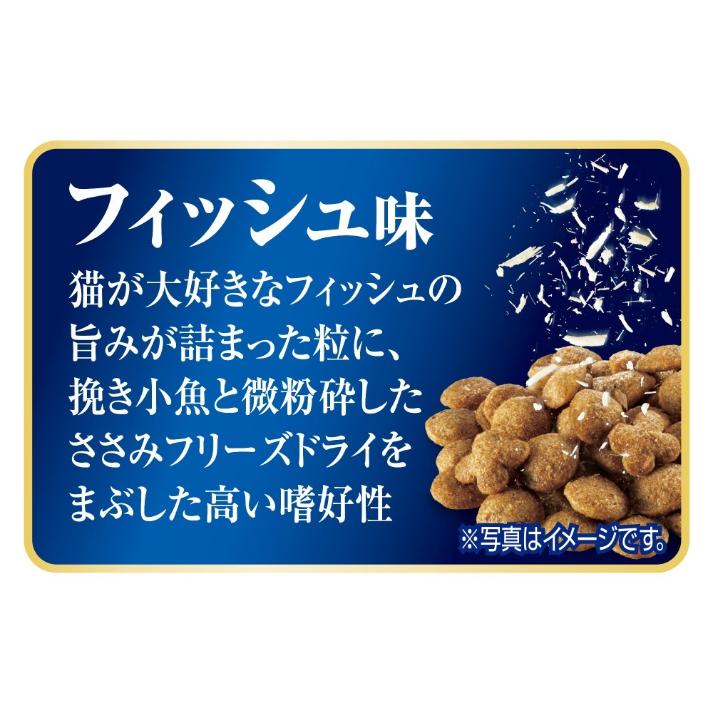 ��2.4kg��4�ޡۥ�ˡ����㡼�� AllWell 10�аʾ�ο�¡�η򹯰ݻ��� �ե��å���̣ �Ԥ������Ȥ����ߥե꡼���ɥ饤�ѥ��������� (ǭ������å�)