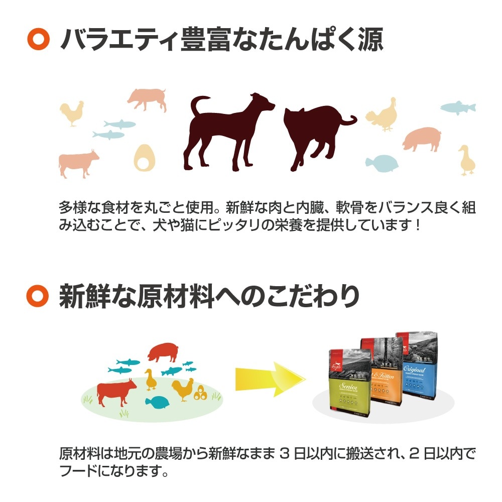 ꥸ ǥ8 1.8kg (ǭå)[]