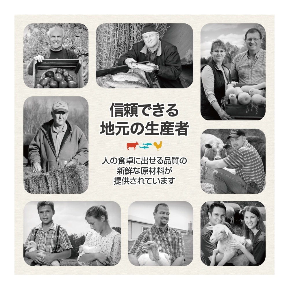 ꥸ ǥ8 1.8kg (ǭå)[]