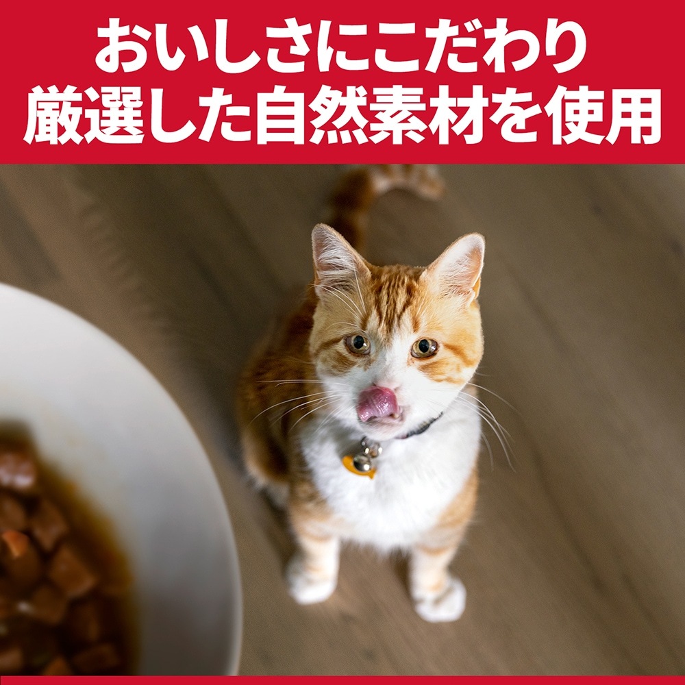��1.25kg��2�ޡۥҥ륺 �������󥹡��������å� ��ǥ��������~6�� ��ǥ������ǭ�� ������ (ǭ������å�)