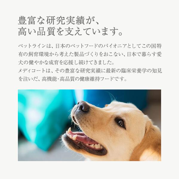 ڥåȥ饤 ǥȥɥХ 륲󥫥å  11Ф 6kg (ɥå)