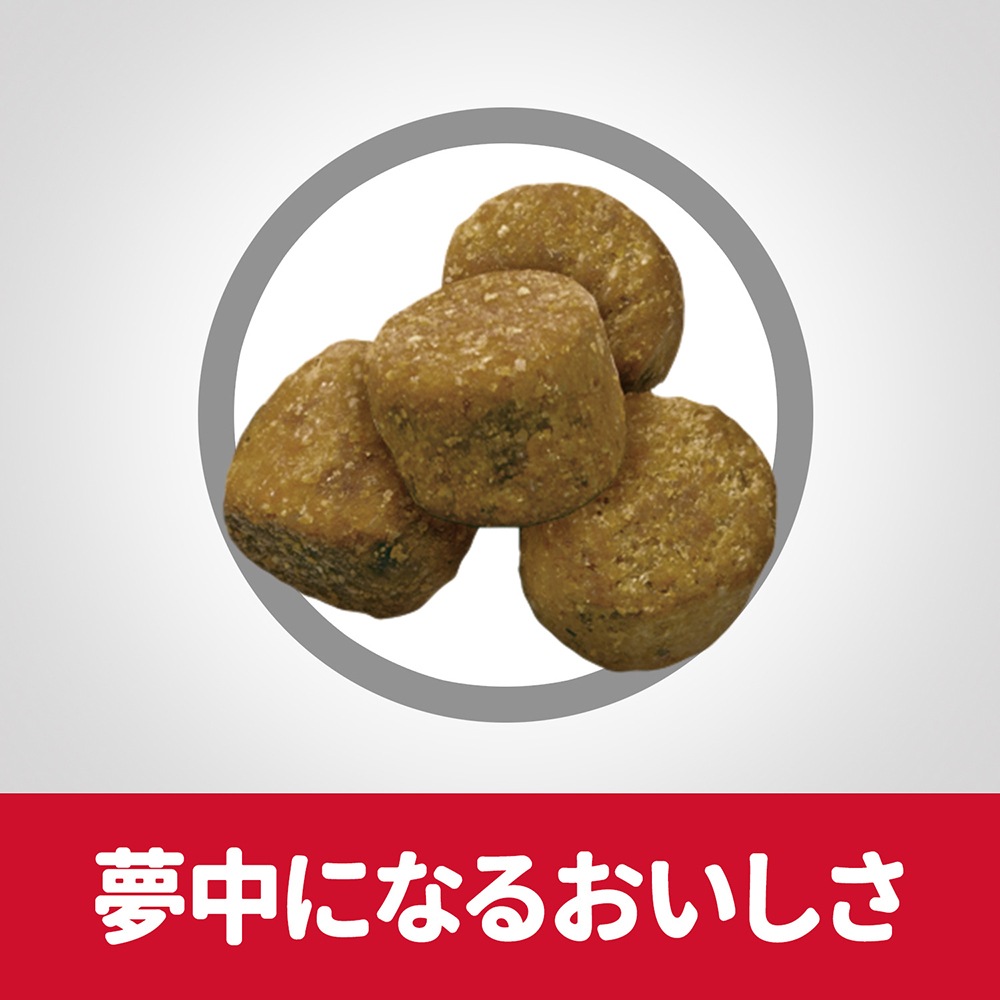 �ҥ륺 �������󥹡��������å� ������� �饤�� ��γ 1~6�� ���������������� ������ 3.3kg (�����ɥå�)