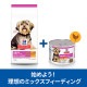 ��200g��12�̡ۥҥ륺 �������󥹡��������å� �����å� �������� ������� 1~6�� ������ ������ �ࡼ�� �� (�����ɥå�)