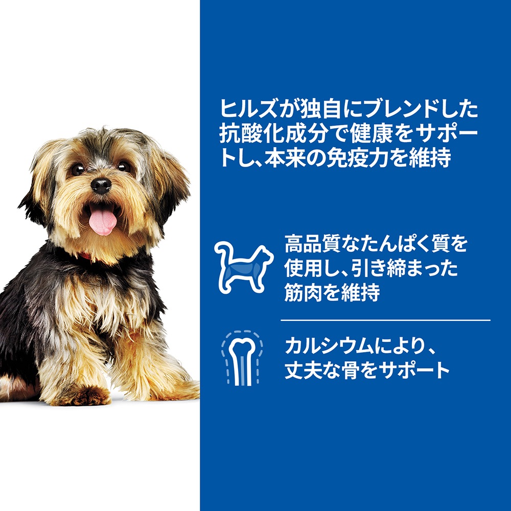 ヒルズ　ビーフ味　なめらかムース　小型犬用 ウェットフード 36缶 サイエンス・ダイエット Hills（ヒルズ）サイエンス・ダイエット