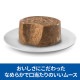 ��200g��12�̡ۥҥ륺 �������󥹡��������å� �����å� �������� ������� 1~6�� ������ �ӡ��� �ࡼ�� �� (�����ɥå�)