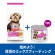 ��200g��12�̡ۥҥ륺 �������󥹡��������å� �����å� �������� ������� 1~6�� ������ �ӡ��� �ࡼ�� �� (�����ɥå�)