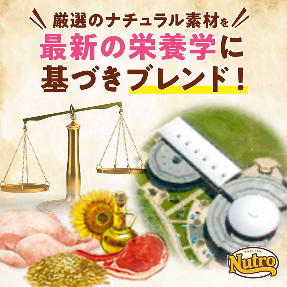 ��1kg��5�ޡۥ˥塼�ȥ� �ʥ�������祤�� �ץ�ߥ�������� Ķ���������淿�� �Ҹ��� �����������(�����ɥå�)[������]
