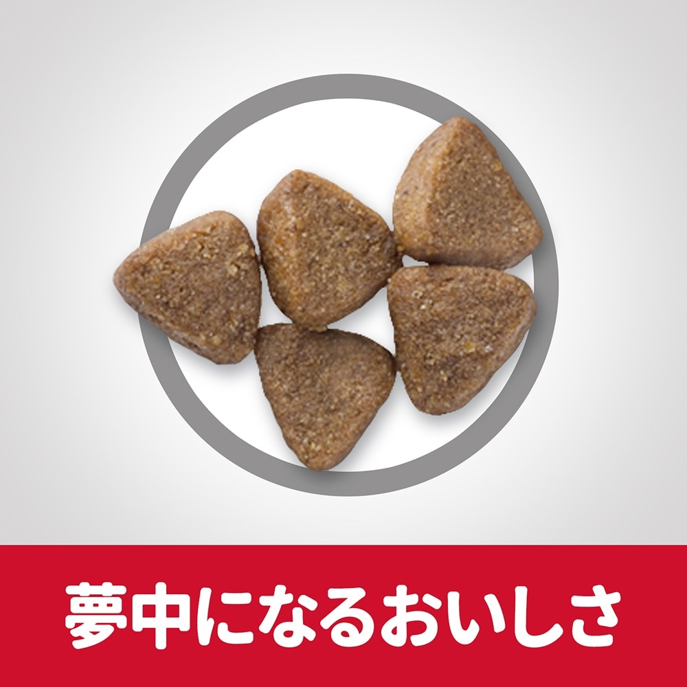 ��1.4kg��3�ޡۥҥ륺 �������󥹡��������å� ���ȥ� 12����ޤ� ��ǭ��/ǥ��������������ǭ�ˤ� ������ (ǭ������å�)