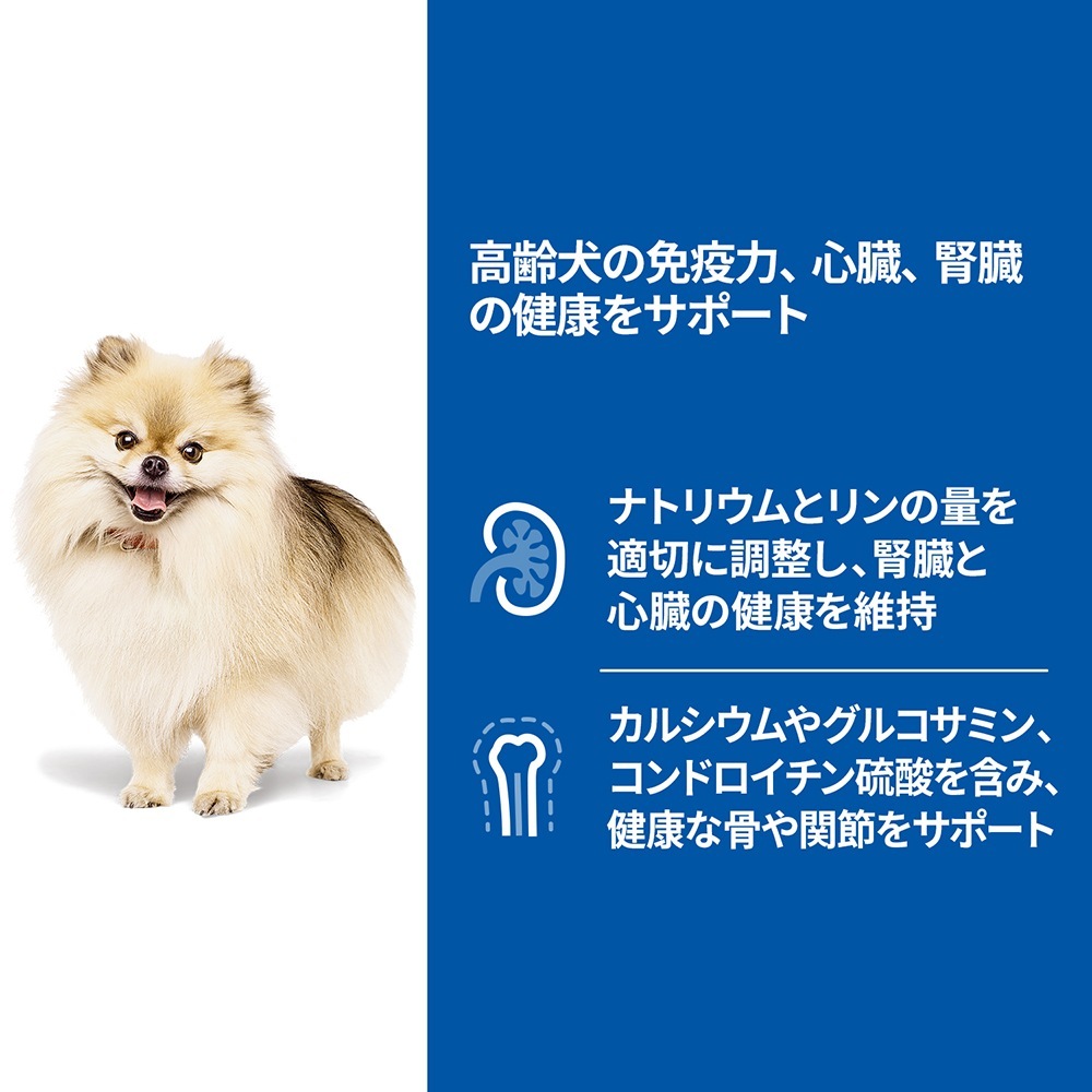 200g12̡ۥҥ륺 󥹡å å  ˥ 7аʾ  ӡ ࡼ  (ɥå)