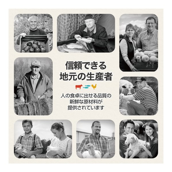 ���ꥸ�� ���˥� 2kg(�����ɥå�)[������]