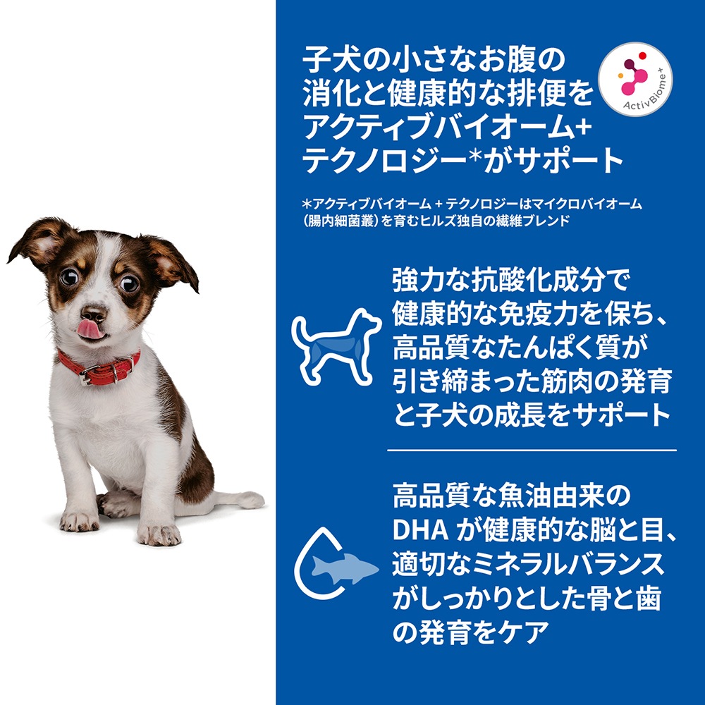 【24時間以内発送】AZ アゼット パピー 子犬・妊娠犬・授乳犬 10kg 24時間以内発送】AZ アゼット パピー 子犬・妊娠犬・授乳犬 10kg