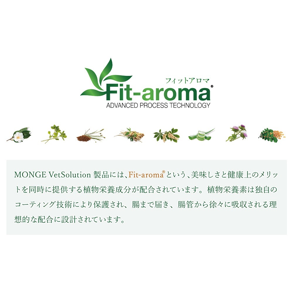 Monge VetSolution 尿中ストルバイトサポート 2kg 【公式通販】