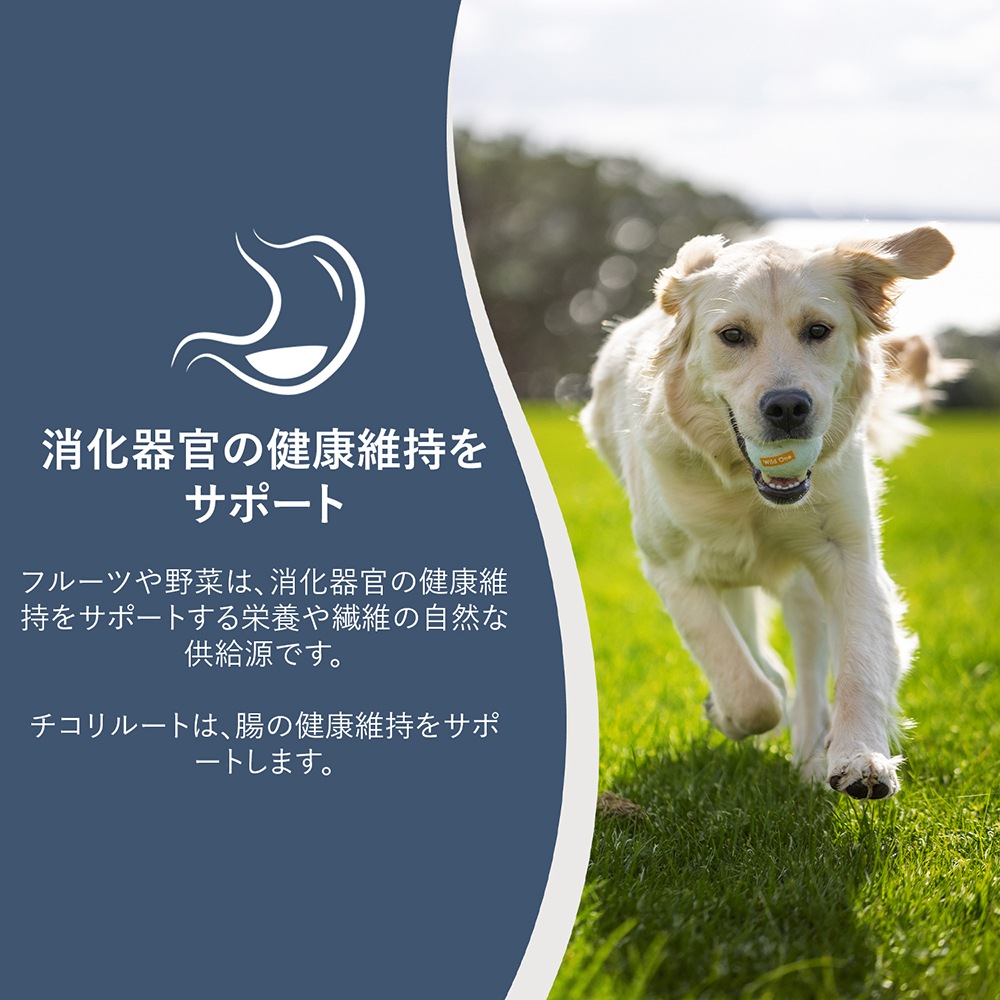 ZIWI �������ԡ��� ����������ɥ饤 ���饹�ե��åɥ�� with ���꡼��٥����֥�쥷�� 800g (�����ɥå�)[������]