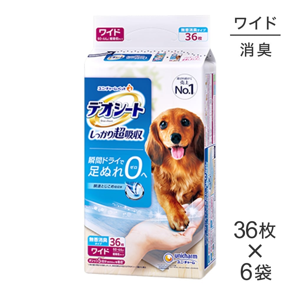 ��36���6�ޡۥ�ˡ����㡼�� �ǥ������� ���ä���Ķ�ۼ� ̵��ý������� �磻�� �ڥåȥ����� (�����ɥå�)