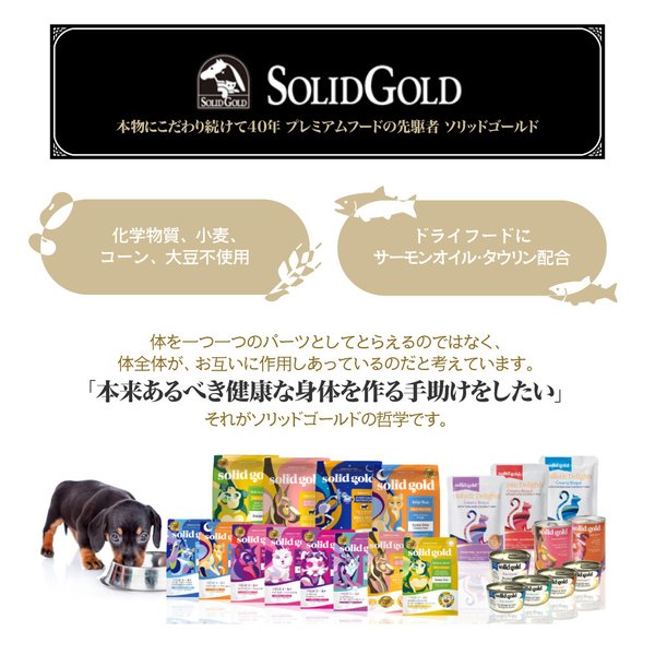 ����åɥ������ SOLIDGOLD ����ɥ�����å� ��ǭ�� 500g (ǭ������å�)[������]