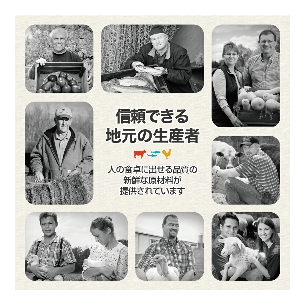 ���ꥸ�� �顼���֥꡼�ɥ������ 11.4kg (�����ɥå�)[������]