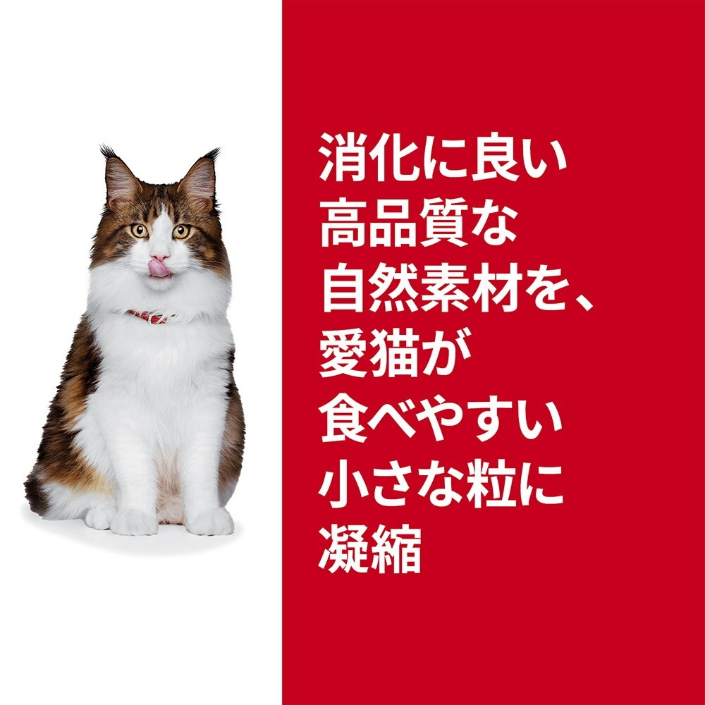 ҥ륺 󥹡å Ĳη򹯥ݡȥץ饹 1аʾǭǭ  ɥ饤 2.5kg +  å 85g12 (ǭå)