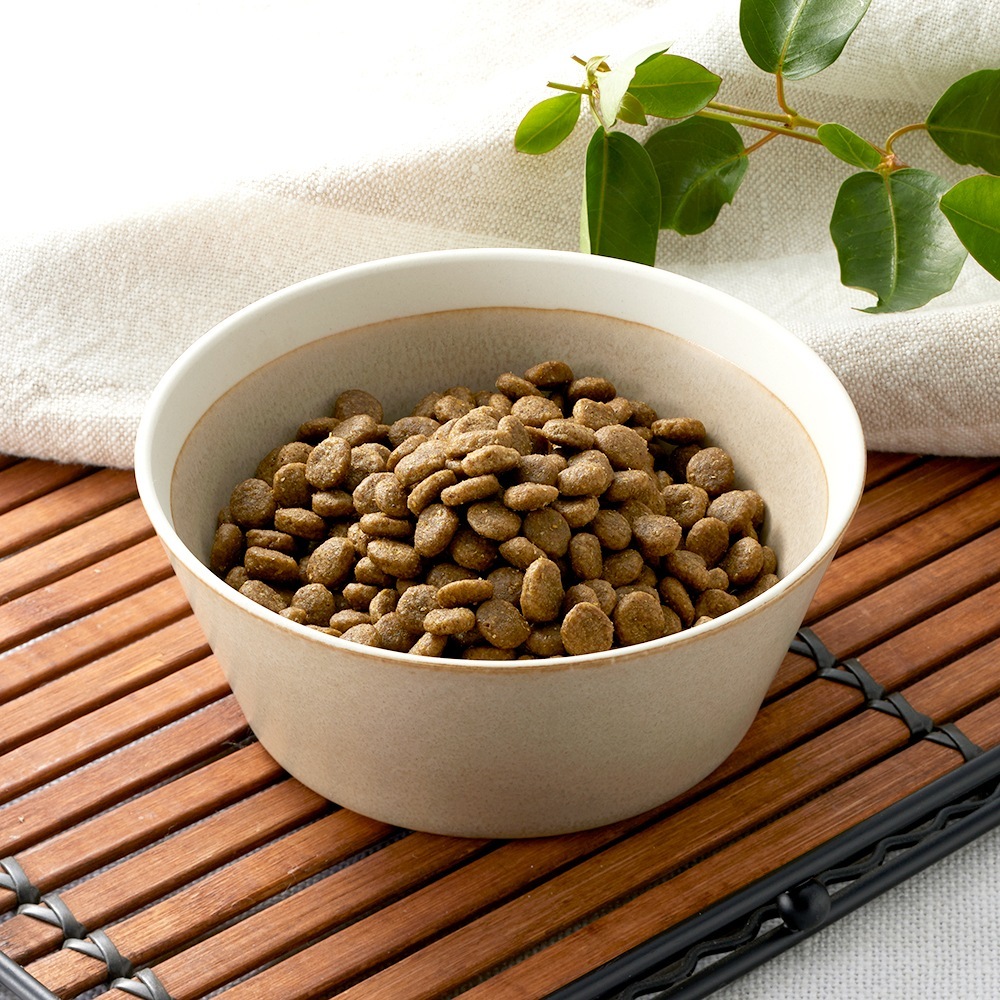 ӥ SOLVIDA 쥤ե꡼   ǯ 5.8kg (ɥå)[]