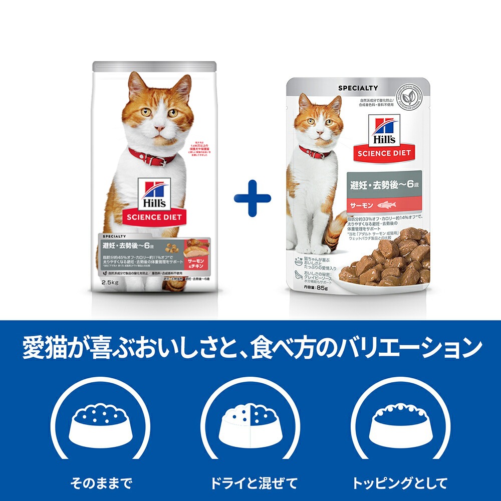 ҥ륺 󥹡å ǥ~6 ǥǭ  ɥ饤 2.5kg +  å 85g12 (ǭå)